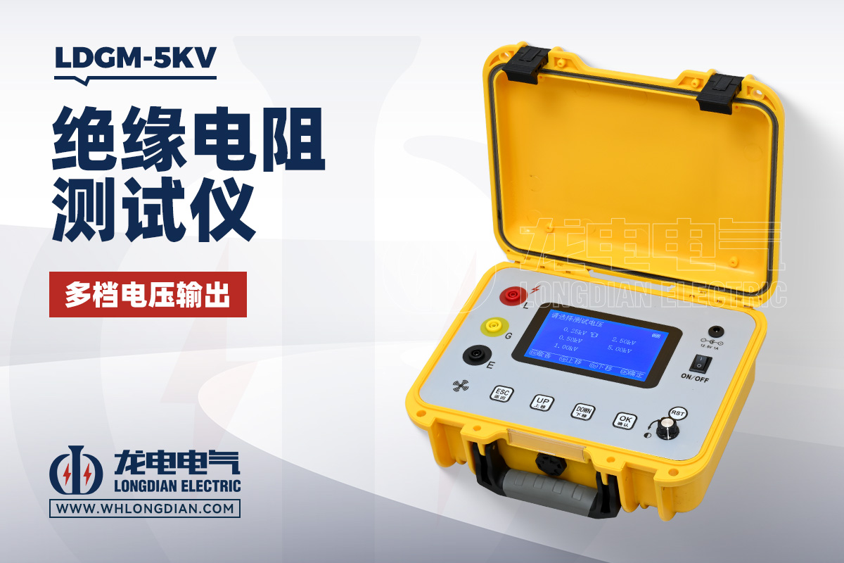 LDGM-5KV 绝缘电阻测试仪