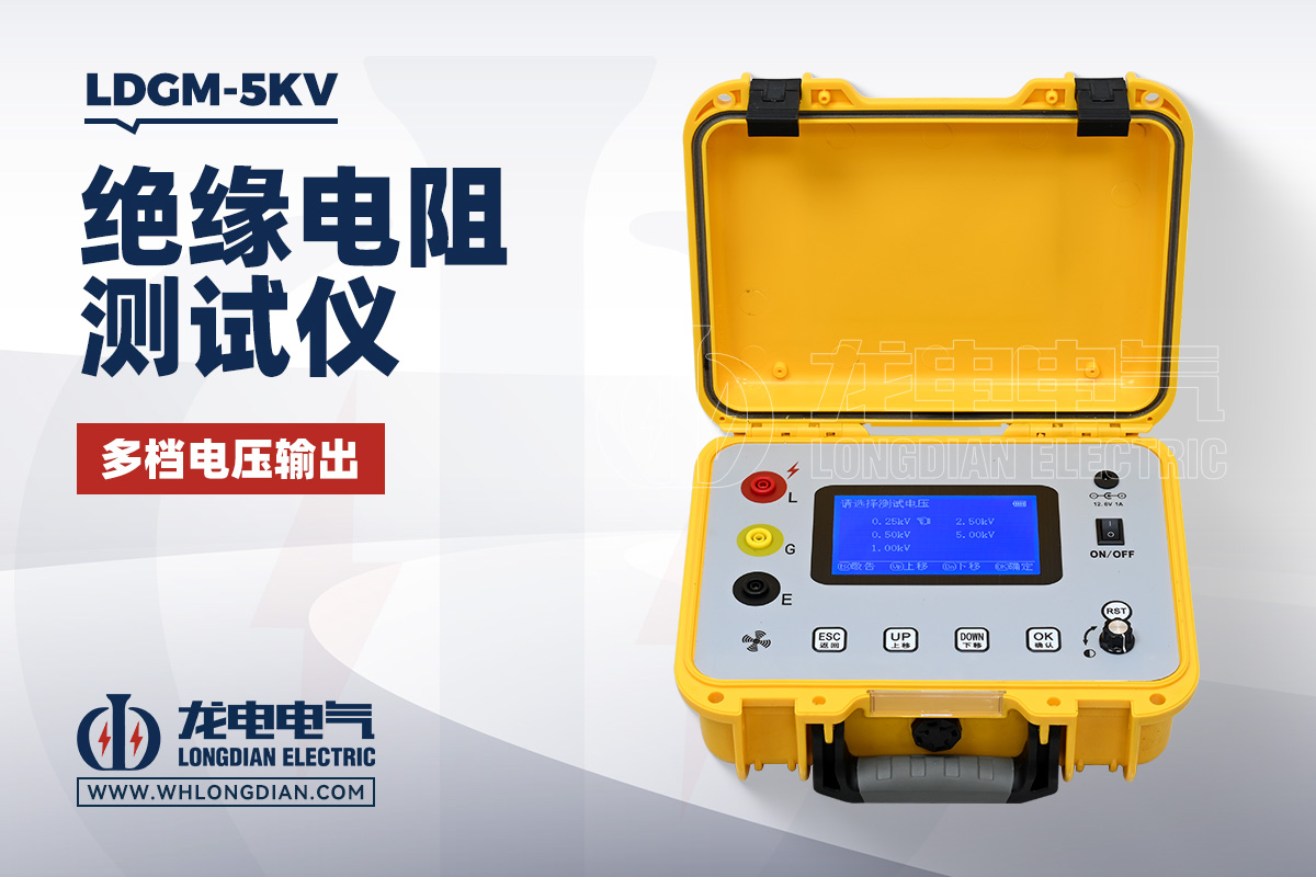 LDGM-5KV 绝缘电阻测试仪
